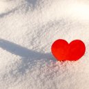 설국일식 이미지