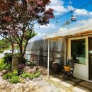 마로니에펜션 이미지