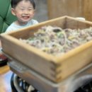 일공공샤브제주연동점 | 제주 일공공샤브 연동점 샤브샤브 소고기 편백 무한리필 먹은 후기