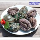 완도전복수산