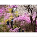 동산밧데리