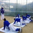 원동중학교 이미지