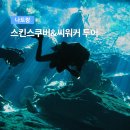 바다의꿈 | 나트랑 바다의 꿈, 스킨스쿠버 전문가이드와 함께 펼쳐지는 황홀한 경험!