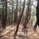 소나무주유소 - 속초시 온천로 3 | 소나무주유소