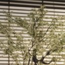 모드니한의원 이미지