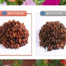 열매양품 이미지