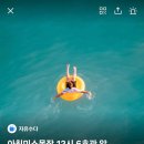 한치목장 이미지