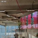 4206 | 카페 대피 추천 김포 카페 맛집 휴무일 주차 리뷰 안내