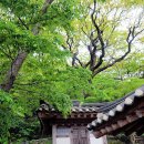 오룡 - 마포구 월드컵로34길 20 | 오룡