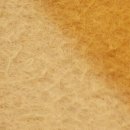 류마이준희내과의원 이미지