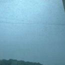 터미널그린약국 | [직장인 일상] 0705 - 0711 | 진정한 여름 시작! 장마 시작되어 꿉꿉하고 습하고,,, 하지만 이겨내야지...