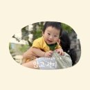 고은스테이 | 8개월 242일 - 248일차 기록(앉고 서기)