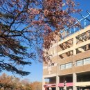 경북대학교 미술관 | 아이와 체험학습 경북대학교 미술관