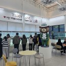 대구강아지분양 테디럽 | 대구강아지무료분양 테디럽 양심 후기