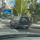 현대장의사 이미지