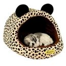 오로라펫 이미지