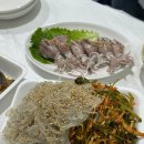 당진 장고항 회센터 숙이네수산 실치회 솔직후기