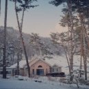 음악이흐르는숲 이미지