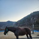 덕산목장 이미지