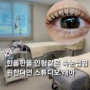 천호 속눈썹펌 강동구청역 속눈썹 3D 듀얼펌 스튜디오 래아 주의사항