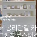느리게머물다;봉황