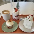 디어터틀(dear turtle) 이미지