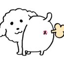 안성앙코르 이미지