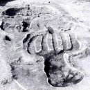 평택원정리유적 이미지