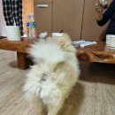 무흘나인펜션 이미지