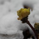 민속한의원 이미지