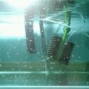 워터월드코리아 이미지