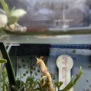 치어빌리지 이미지