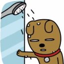 하얀풍차제과 이미지