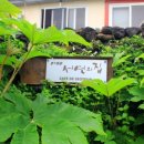 공새미 온 이미지