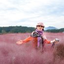 TOP노래방 이미지