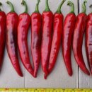 전북농약사 이미지