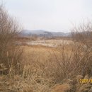 나란히 흐르다 이미지