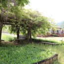 소백산 신선펜션 & 캠핑 이미지