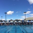 PHOENIX SWIM CLUB 이미지