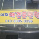 메이저 애견훈련학교 이미지