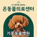 온동물의료센터 이미지