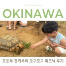 오디건강체험마을 | [7살 아이와 오키나와] 모토부 겐키무라(건강마을) 모구모구 피크닉 체험후기