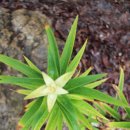 거북가든 이미지