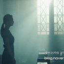 씨에이치캐롤리나 이미지