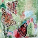 서정고등학교 이미지