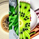 글쓰기의 발견 이미지