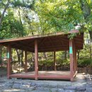 구덕청소년수련관 | [부산 서구] 구덕야영장 1박 2일 캠핑 후기