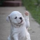 미사정성한의원 이미지