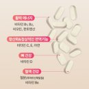 플로라인 이미지