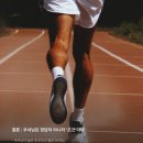 민호카 이미지